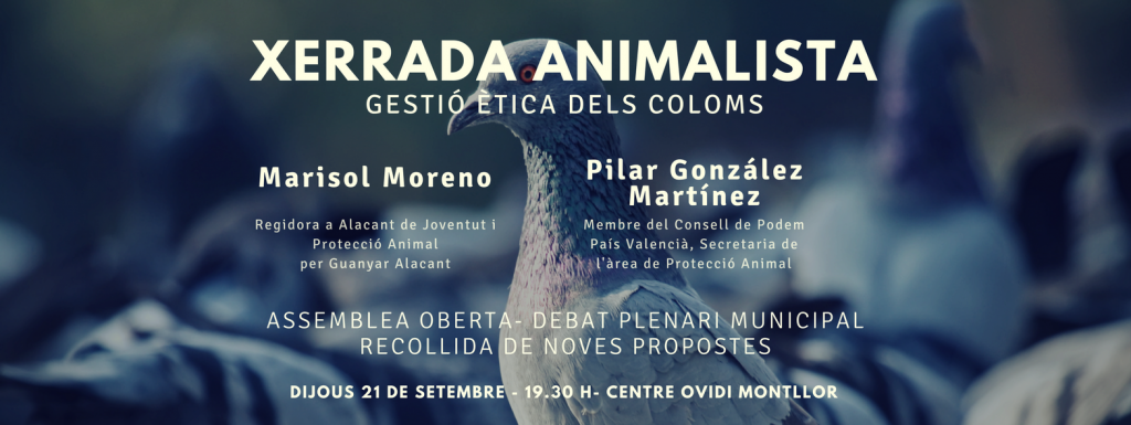Guanyar Alcoi organitza una xerrada animalista centrada en la gestió ètica dels coloms