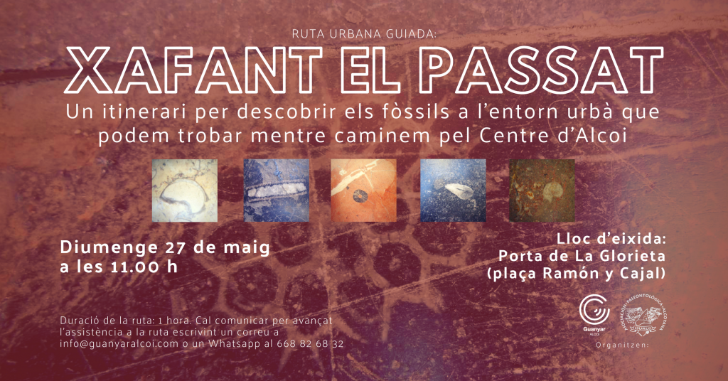 Guanyar Alcoi amb col·laboració de l'Associació Paleontològica Alcoiana ISURUS organitzen Xafant el passat, una ruta per descobrir els fòssils de l'entorn urbà del Centre d'Alcoi