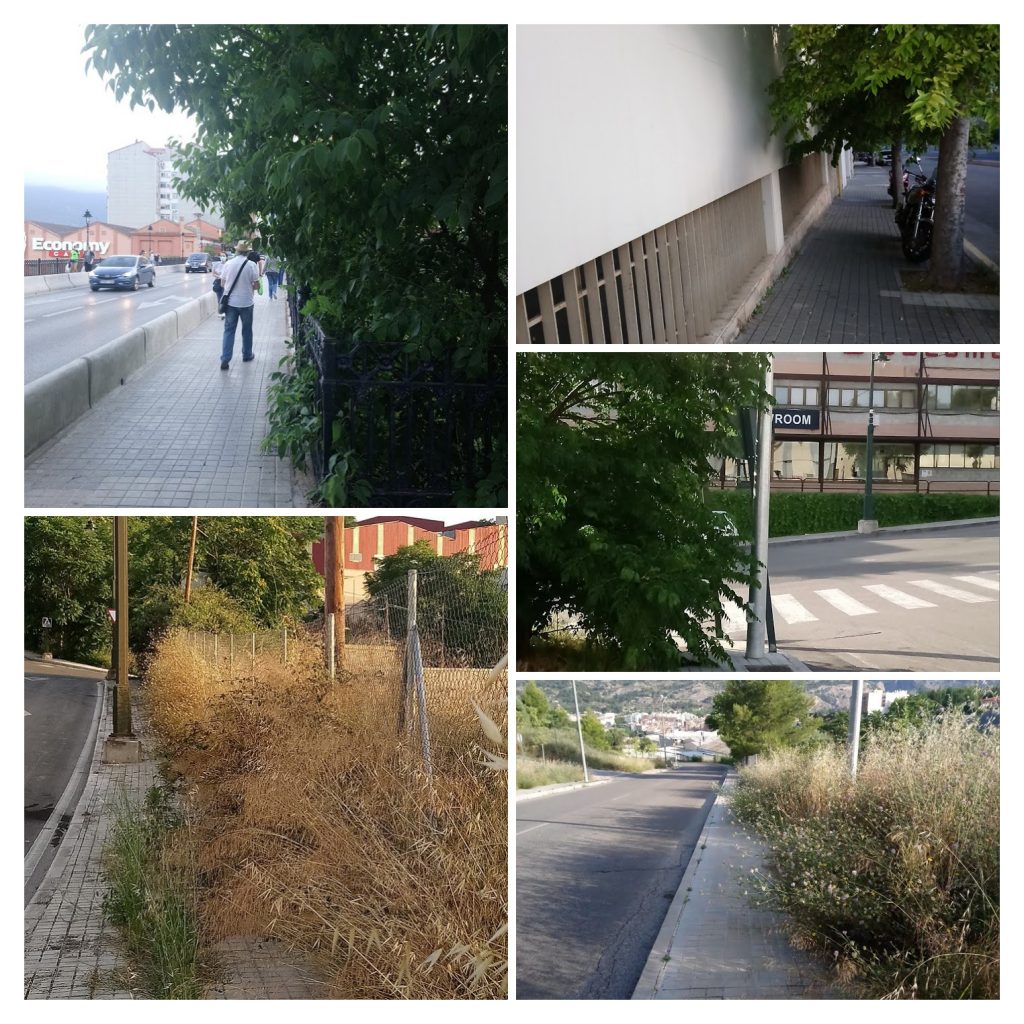 Guanyar Alcoi demana manteniment en condicions als itineraris per a vianants