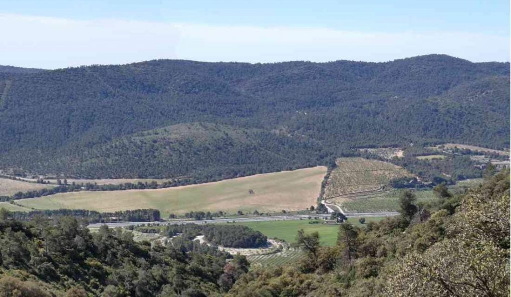 GUANYAR ASSENYALA LA FALTA DE COHERÈNCIA EN LA POSTURA DE COMPROMÍS RESPECTE A LA CANAL